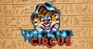 Wicked Circus